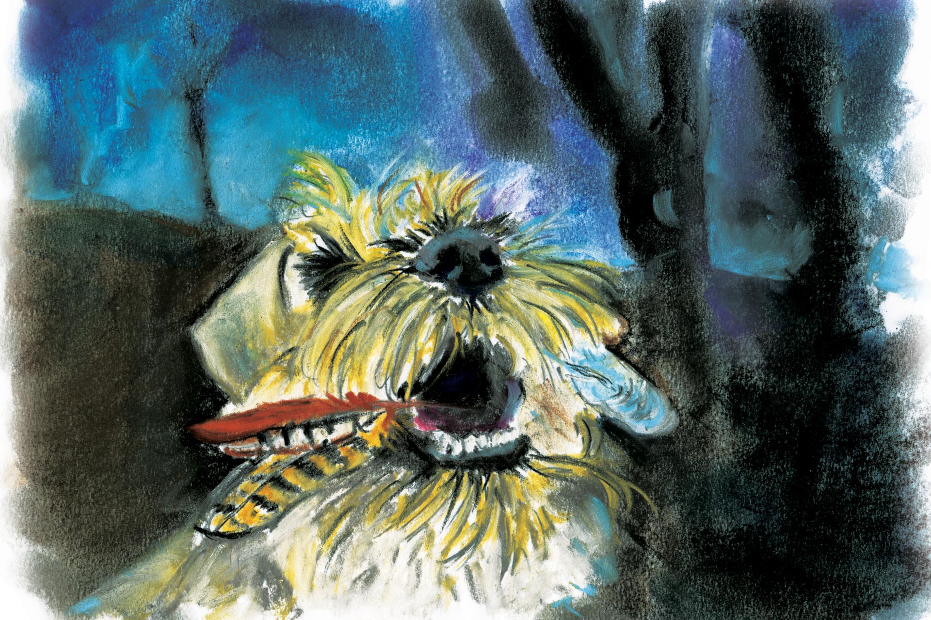 Illustration for Blackberry Tails Gram's Journey