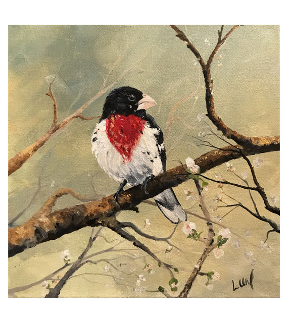 acrylic on canvas of grosbeak