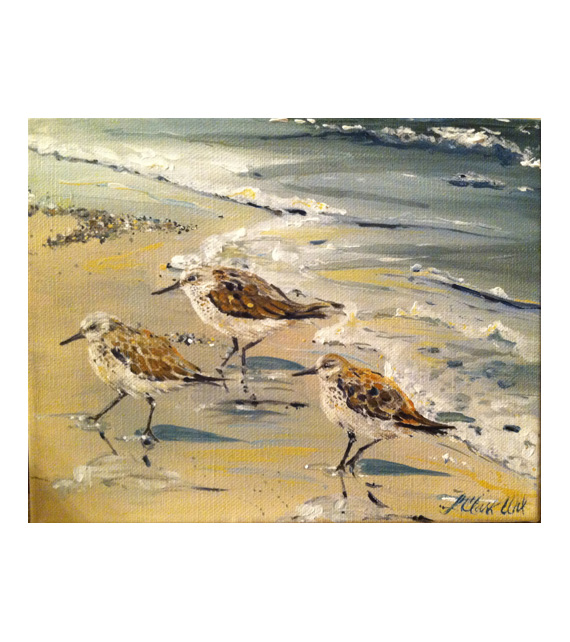 acrylic on canvas sandpipers