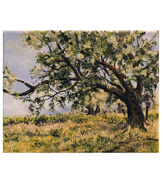painting of an old tree on a hot summer day with a barn in the background