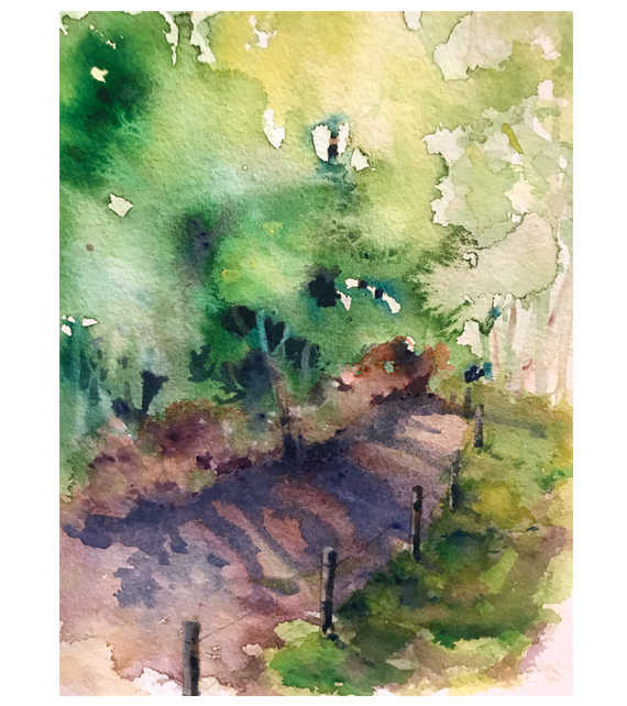 watercolor of green woods after a rain along a fence lined path